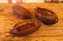 Chocolate, pastries and macaron tasting tour in Paris
