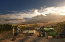 Wineland region visit with wine tasting and Franschhoek Tramway