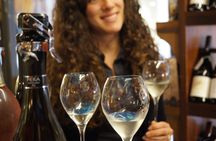 Small-Group Wine Tasting Tour in Venice