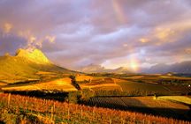 Cape Winelands full-day tour