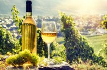 Alsace full-day shared wine tour from Colmar