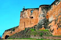 Mombasa full-day city tour and Haller Park