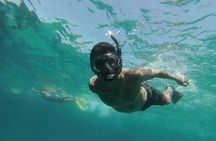 Hiking and snorkeling around an island in Marseille