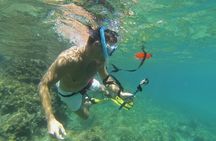 Hiking and snorkeling around an island in Marseille
