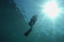 Hiking and snorkeling around an island in Marseille