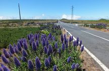 Madeira east or west private half-day jeep tour