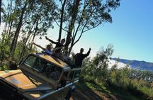 Amazing land & sea tour with open roof 4x4 and dolphin spotting
