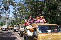 Amazing land & sea tour with open roof 4x4 and dolphin spotting