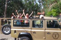Amazing land & sea tour with open roof 4x4 and dolphin spotting
