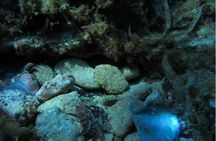 Etna tour and snorkeling experience