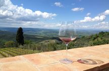 Organic Brunello wine tour with lunch in Montalcino