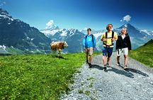Full-day trip to Grindelwald and Interlaken from Lucerne