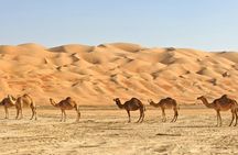 Best of Oman full-day 4WD private tour in Wahiba Sands
