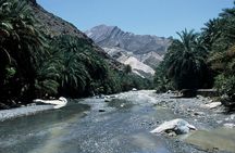 4WD private tour to the White Wadi and Nakhl