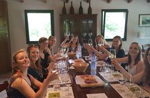 Colli Bolognesi private wine experience