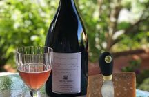 Colli Bolognesi private wine experience