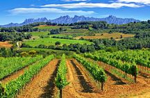 El Penedès hike and wines