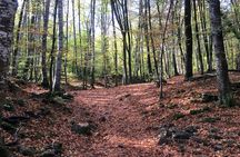 La Garrotxa Volcanic Zone Natural Park Hiking and Besalú medieval town