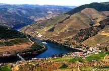 Douro Valley day tour from Porto with lunch, wine tasting, and cruise