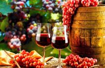 Porto small-group tour with wine tasting