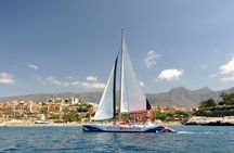 5 hour whale and dolphin watching on an eco-catamaran