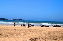 Surf Trip to Essaouira from Marrakech