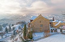 Full-day winter tour to Gruyères from Lausanne by bus