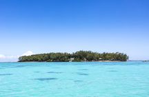 Île aux Aigrettes and Île Des Deux Cocos Island day-tour