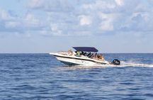 Île aux Bénitiers speed boat tour