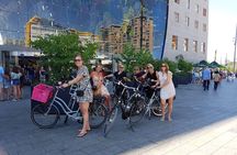 Rotterdam highlights 3-hour bike tour