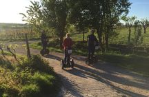 Self-balancing scooter tour in the surroundings of Heidelberg