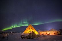 Night reindeer sledding with dinner and northern lights