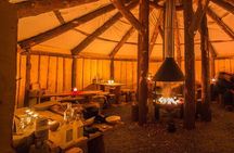 Night reindeer sledding with dinner and northern lights