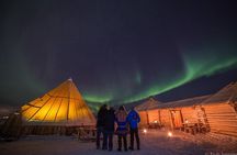 Night reindeer sledding with dinner and northern lights