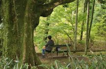 Full-day jeep tour to Furnas