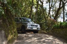 Private shore excursion from Ponta Delgada