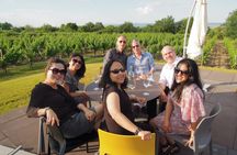 Half-Day Countryside Wine Tour from Budapest