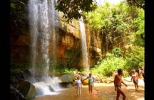 Shimba Hills 1-day tour with Sheldrick Falls hike from Mombasa