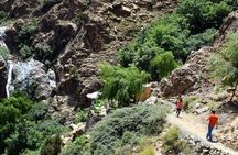 Day Trip to Ourika Valley with hike included from Marrakech