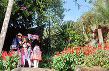 Chiang Mai City and Temples tour
