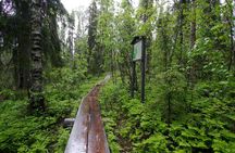 Day-Tour Hiking to Auttiköngäs Falls