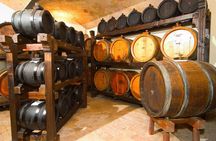 Gastronomic tour of Emilia-Romagna from Bologna