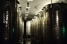 Private wine and cava tour in Penedés