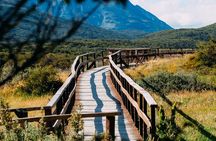 Half-day tour to Tierra del Fuego national park
