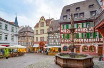 Self-balancing scooter tour from Ladenburg to Weinheim