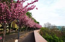 Self-guided Discovery Walk in Budapest's Castle Hill history and mysteries