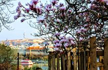 Self-guided discovery walk in Prague with breathtaking views and parks