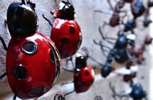 Discovery Game Barcelona’s Old Town secret alleys and ruins