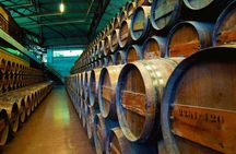 Arrabida and Bacalhoa private tour with wine tasting from Lisbon
