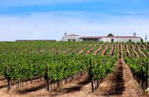 Arrabida and Bacalhoa private tour with wine tasting from Lisbon